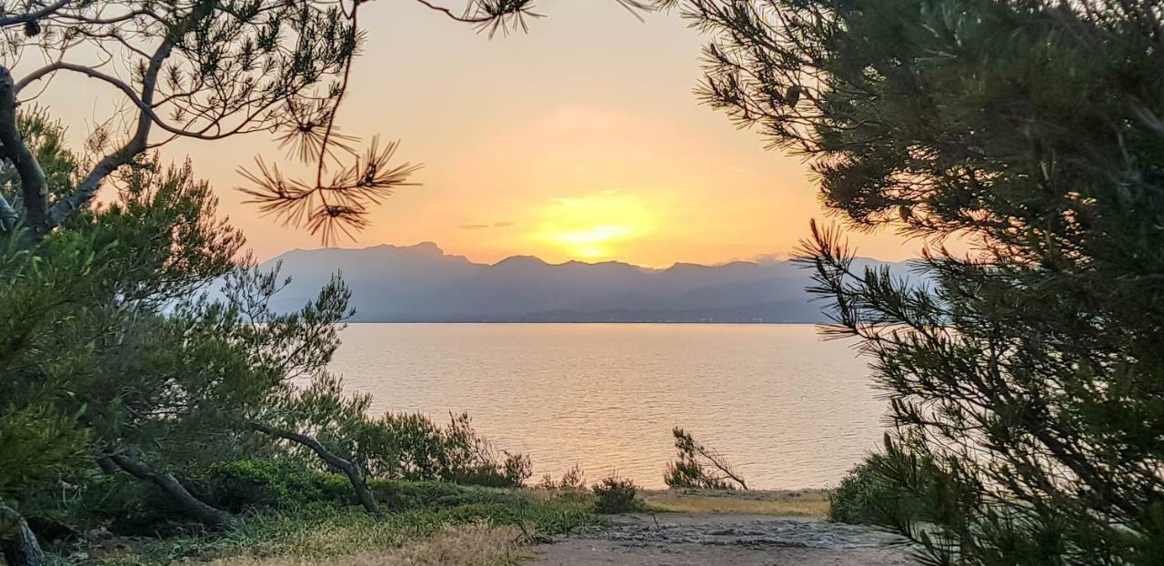 Es Fasser Alcúdia Buitenkant foto