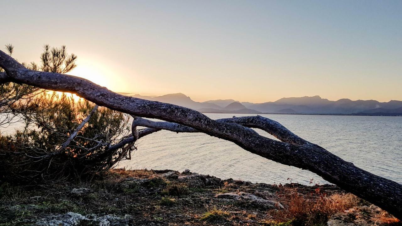 Es Fasser Alcúdia Buitenkant foto