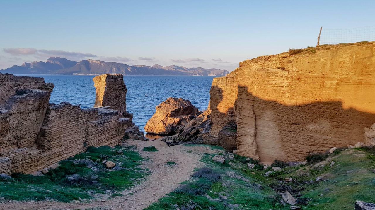 Es Fasser Alcúdia Buitenkant foto